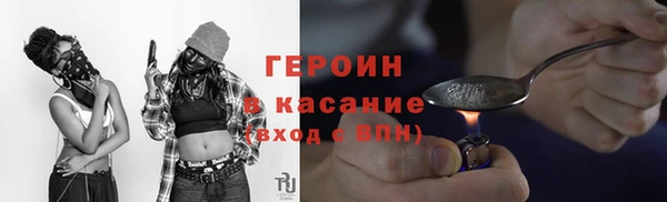 прущие грибы Алзамай