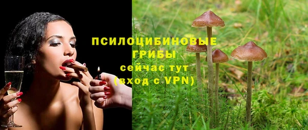 прущие грибы Алзамай