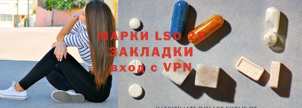 прущие грибы Алзамай